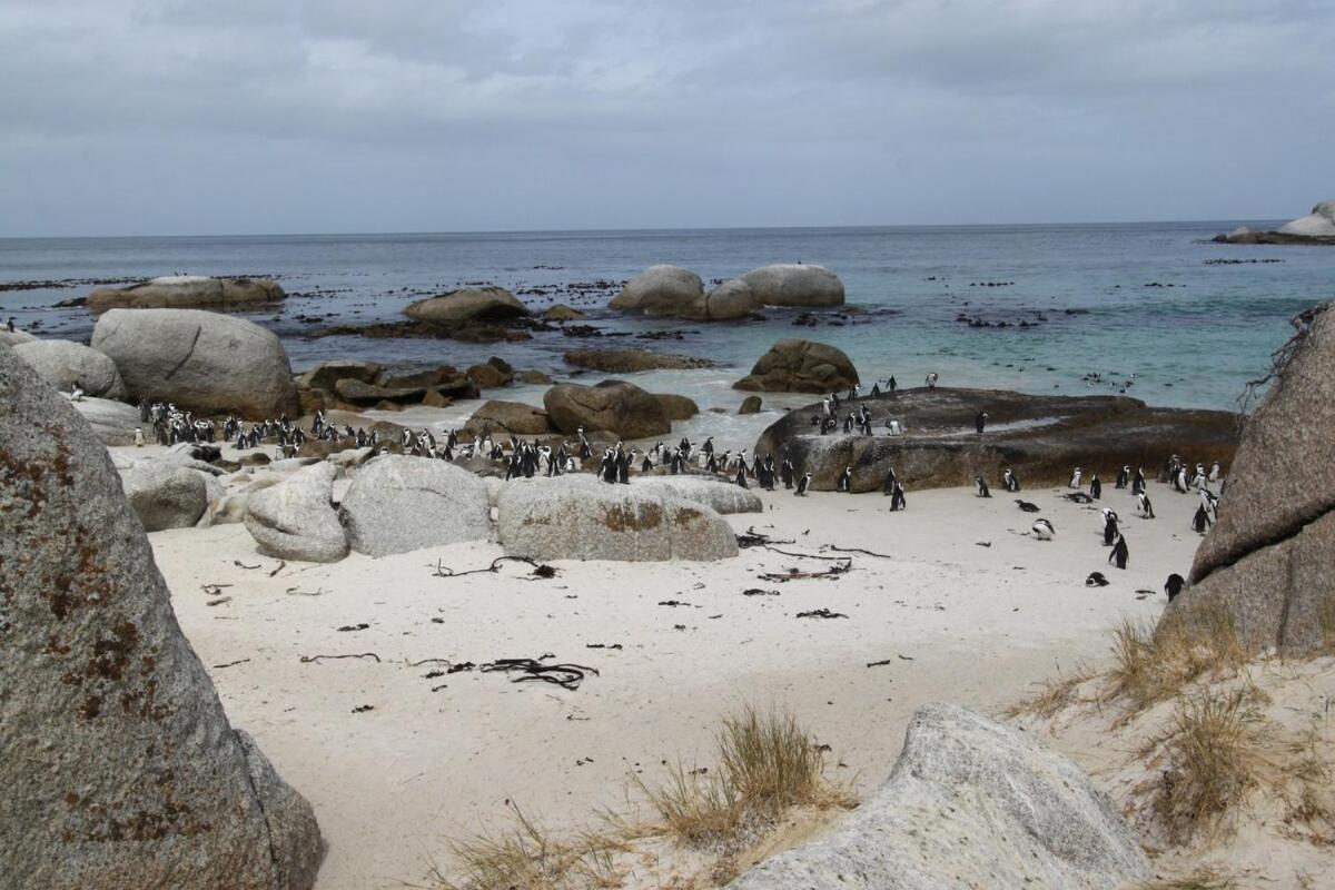 Casa de Férias Cape-x-ta-sea